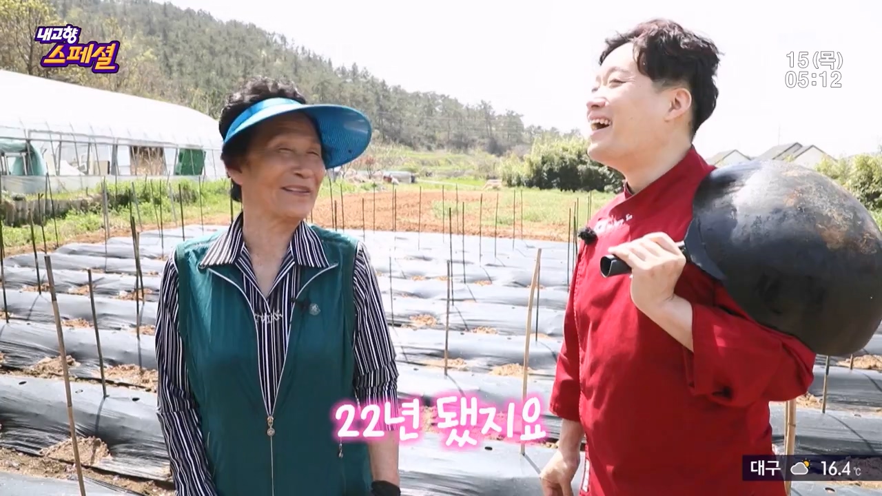 내고향 스페셜.E2309.230616p-NEXT.mp4_20230924_143252.982.jpg