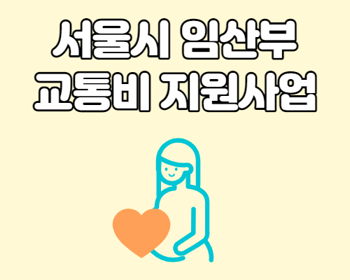  서울시 임신부 교통비 지원사업