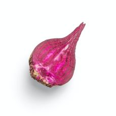 비트 이미지