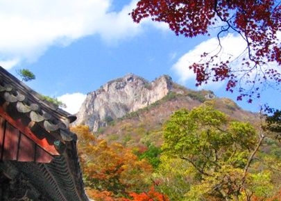 국일상회 이미지