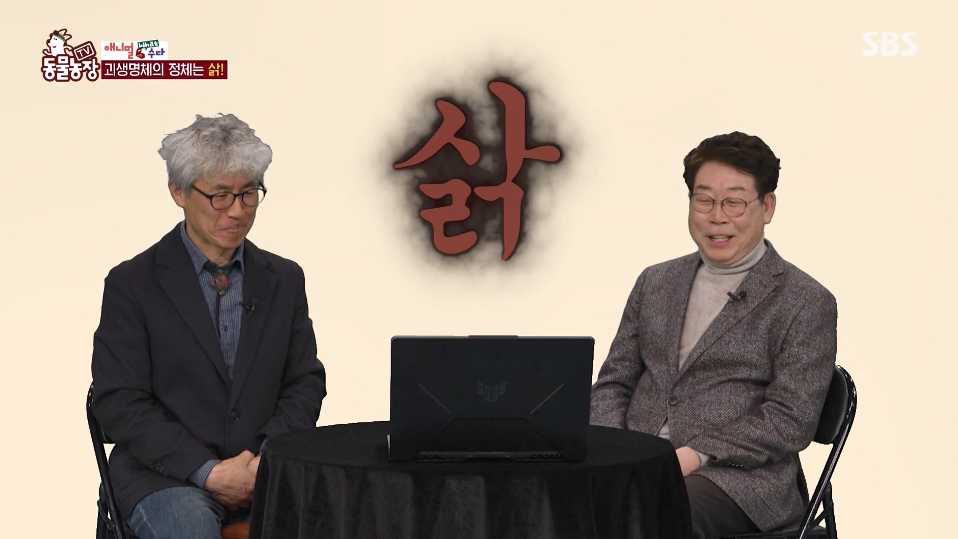 TV 동물농장.E1164.240324p-NEXT.mp4_20240324_170526.895.jpg