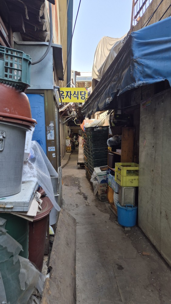 경동집 이미지