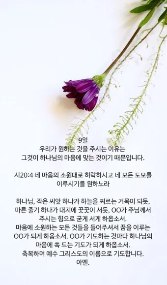 6월 둘째주 주일 대표 기도문 모음_7