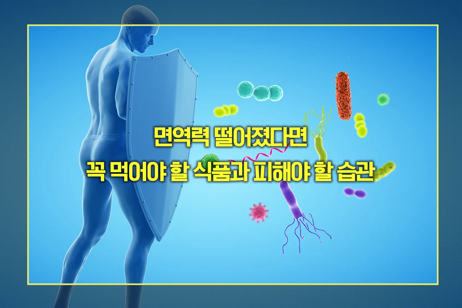 면역력 높이는 식단