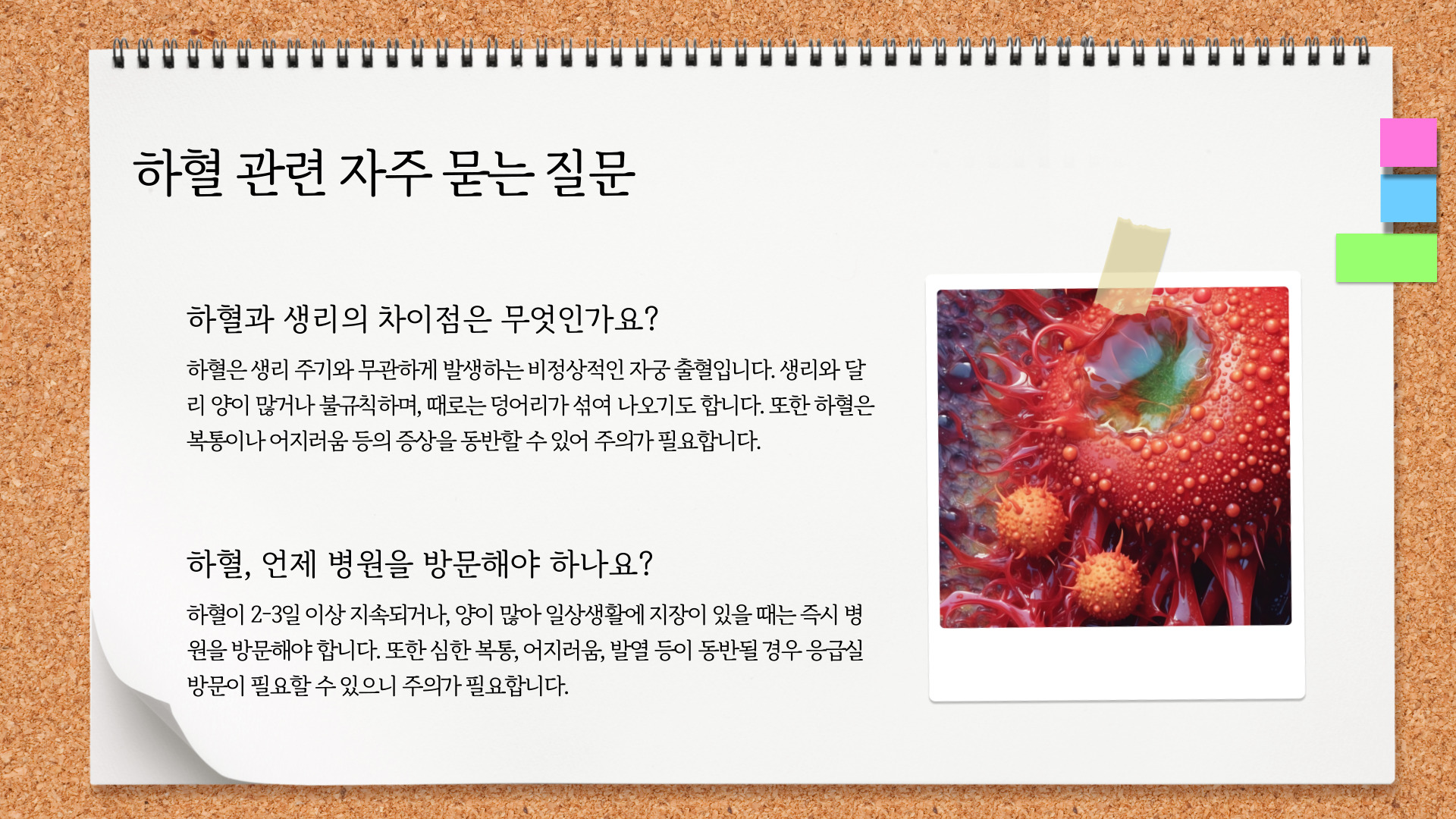 하혈의 원인