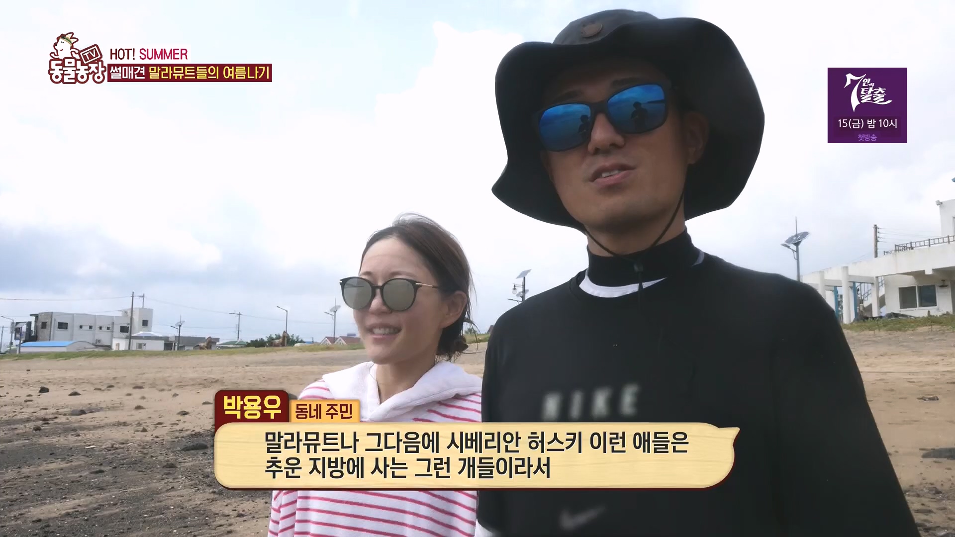 TV 동물농장.E1136.230903p.H264-F1RST.mp4_20230903_180336.766.jpg