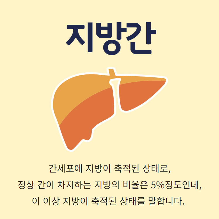  간기능,지방간