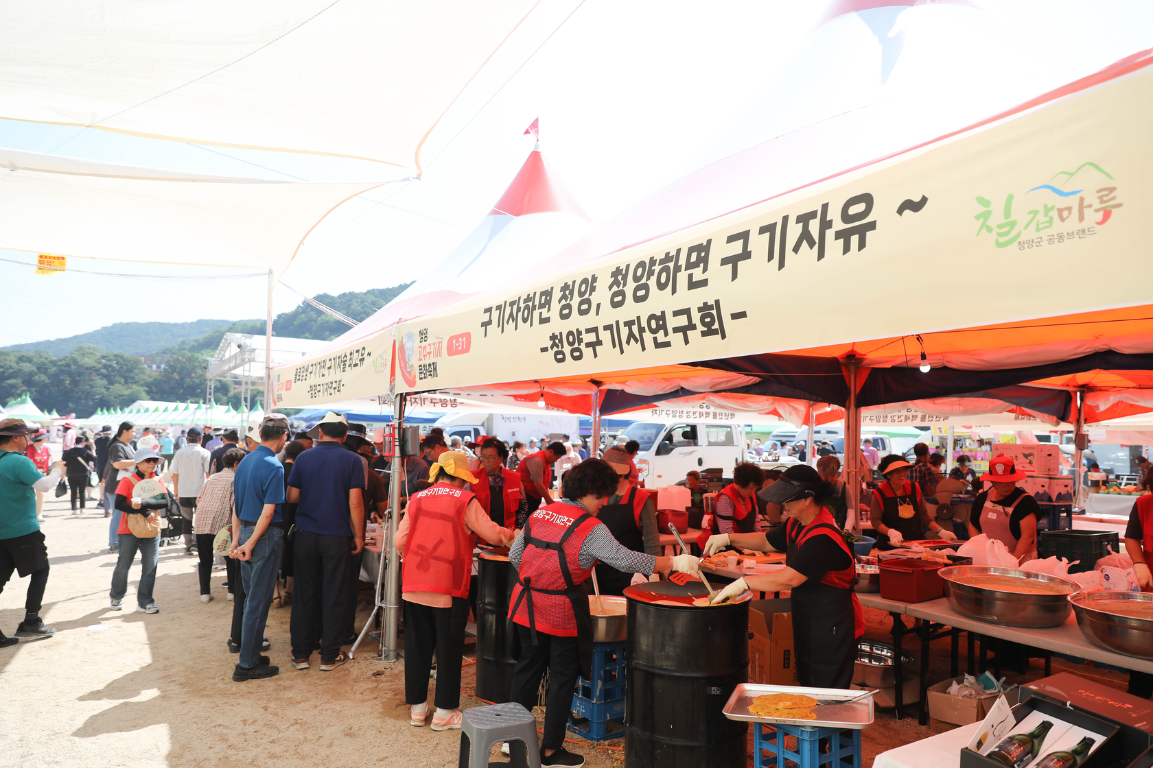 청양고추구기자 문화 축제