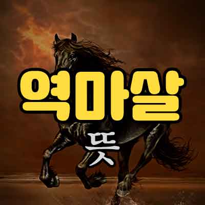 역마살 뜻