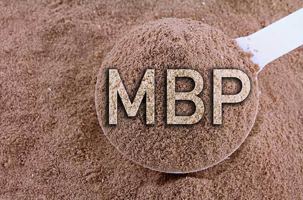  뼈엔 엠비피 MBP가루 :: 효능 부작용 섭취방법