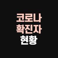  코로나 확진자 현황