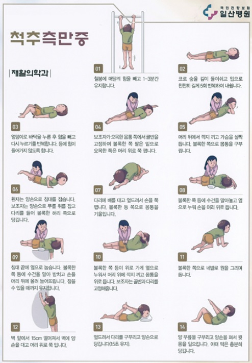 척추측만증 운동 모음