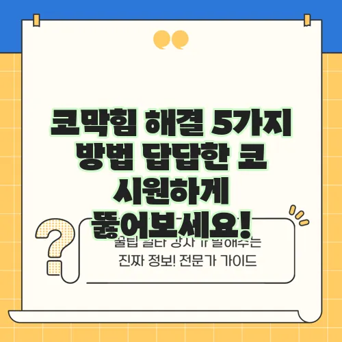 코막힘 해결 5가지 방법 답답한 코 시원하게 뚫어보세요!