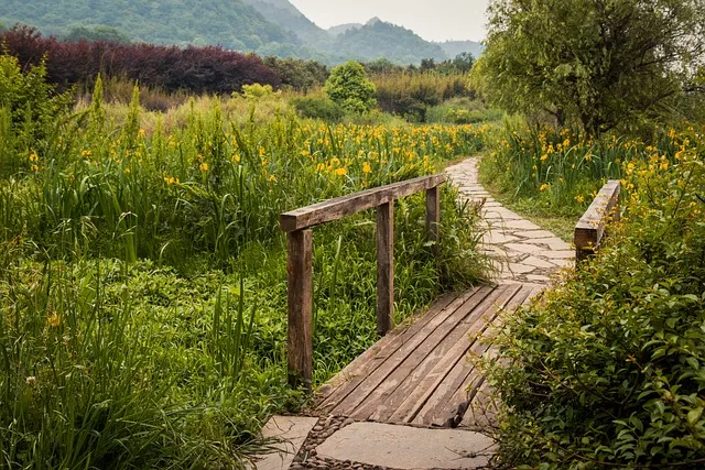 우리나라에서 가장 긴 다리 10선_6
