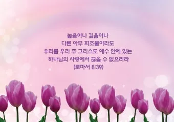 로마서 8장 성령 생명 묵상_11