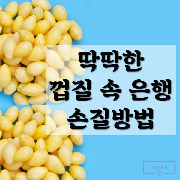 딱딱한-껍질-속-은행-손질방법&#44;-은행-볶음&#44;-은행 쉽게 까기