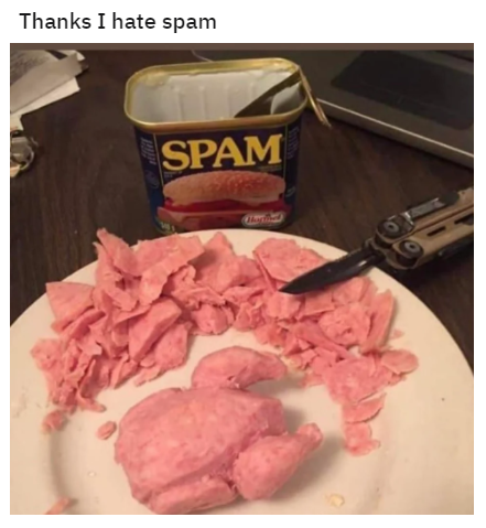  스팸 아트