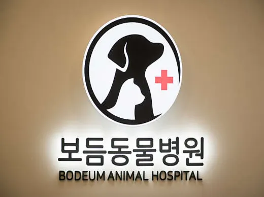 보듬동물병원