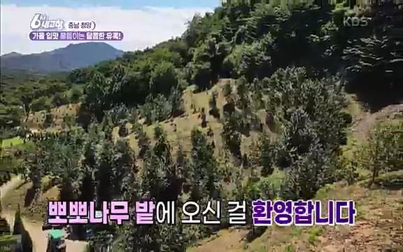 [7613회] 6시 내고향 - KBS7613회] 6시 내고향.ts_20220913_203325.075.jpg