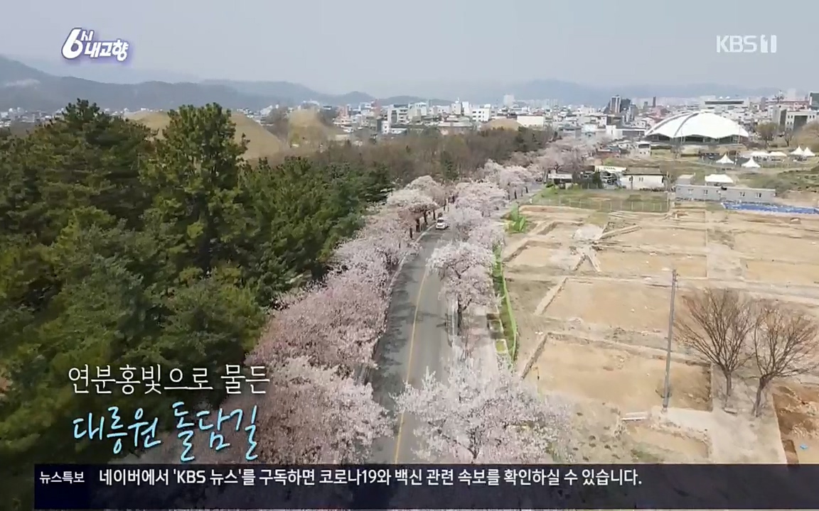 6시 내고향.E7510.220414p.H264-F1RST.mp4_20220419_184643.452.jpg