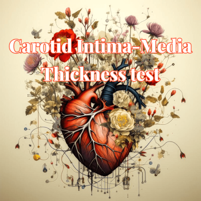 Carotid Intima-Media Thickness test