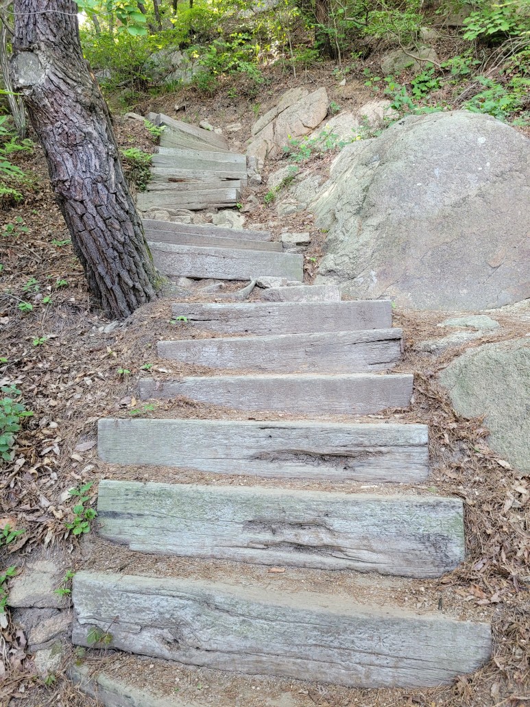 홍성 용봉산 등산코스 홍성 용봉산 5