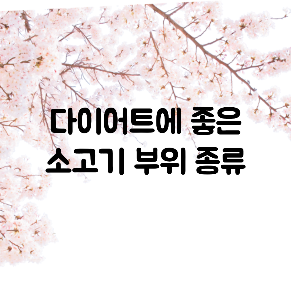  다이어트에 좋은 소고기 부위 추천, 종류 / 소고기 지방 적은 단백질 부위