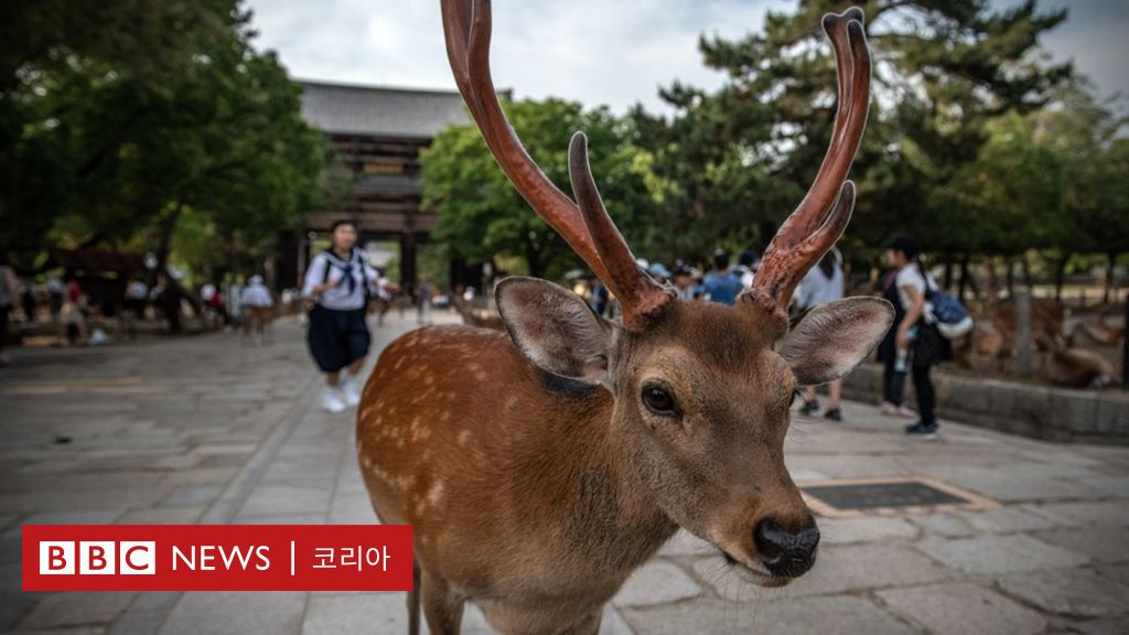  오사카 근교 나라의 6월 날씨에 대해 알아보자!