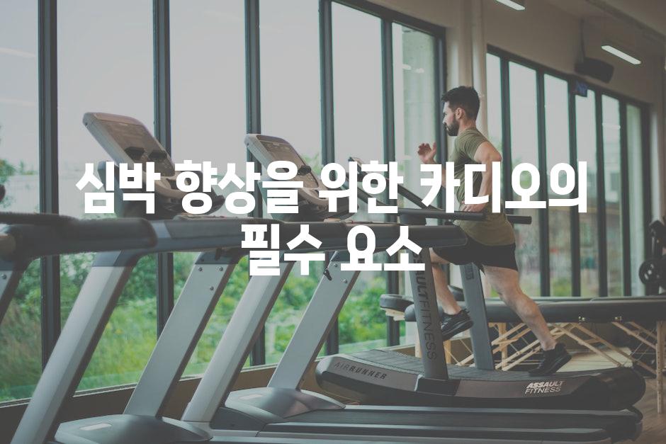 심박 향상을 위한 카디오의 필수 요소