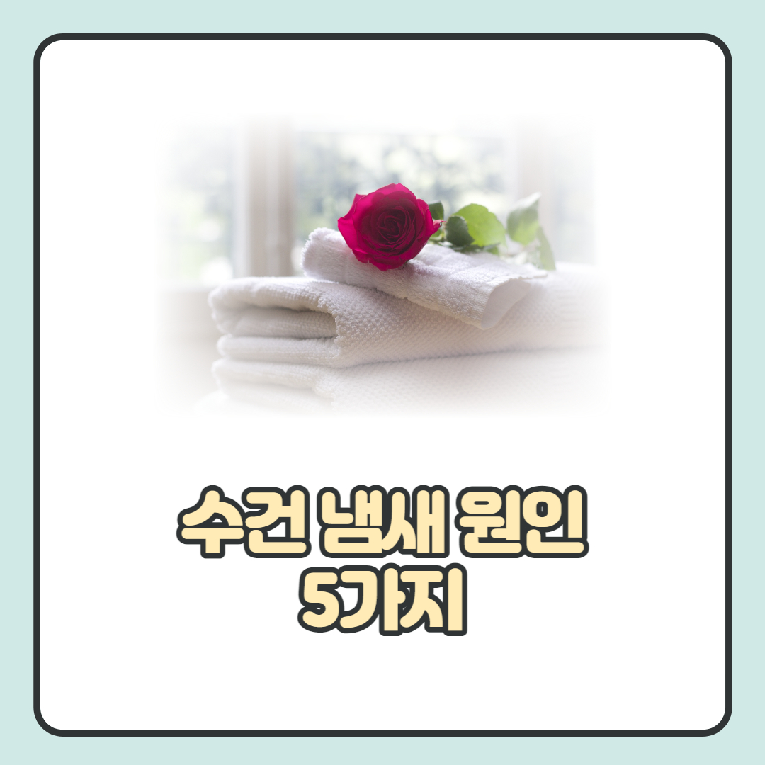  수건 냄새 원인 및 없애는 법 5가지 알아보기!
