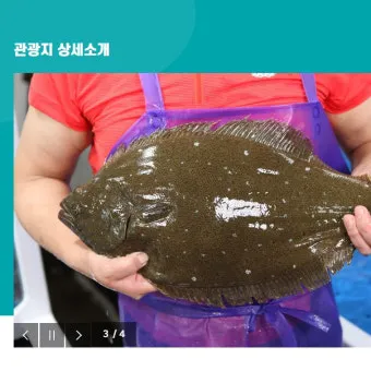 서천 광어 도미 축제에서 제철 맛 체험 완벽 여행 가이드_2