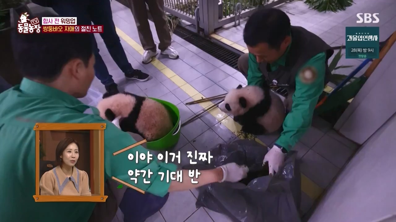 TV 동물농장.E1150.231218p-NEXT.mp4_20231217_171347.873.jpg