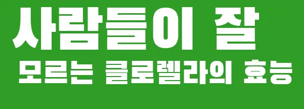 사람들이 잘 모르는 클로렐라의 효능