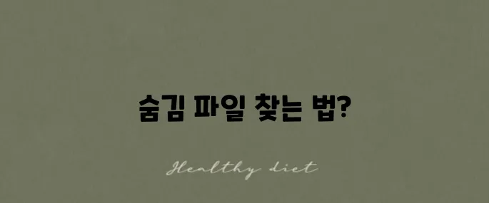 숨김 파일 보기 설정, 간단한 사용법의 모든 것입니다!