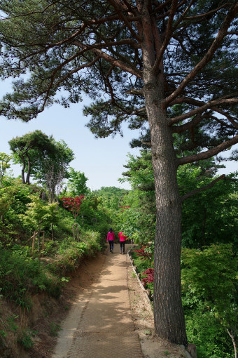 고성산 조망 이미지