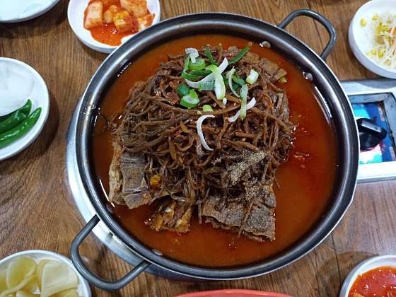 고구마 새싹 산