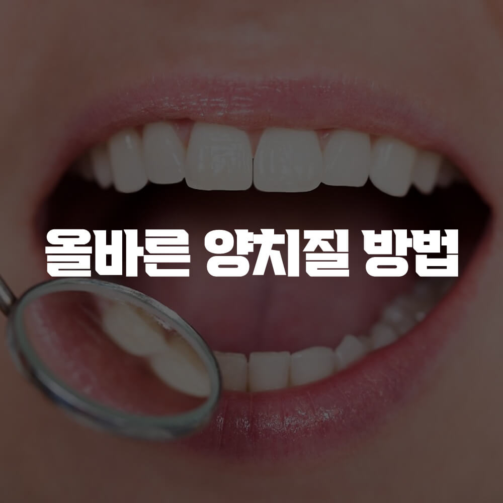 올바른 양치질 방법