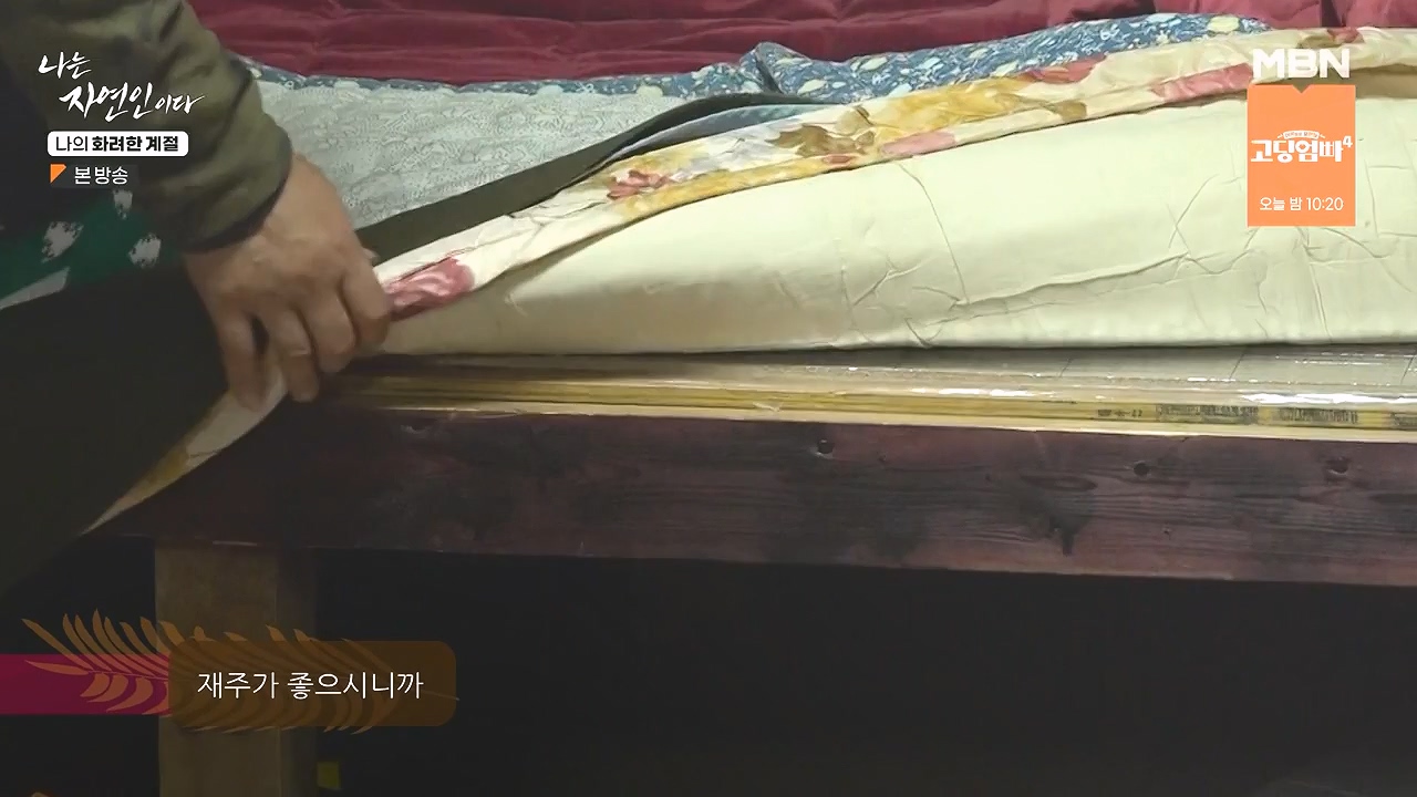 나는 자연인이다.E587.240104p-NEXT.mp4_20240104_195905.673.jpg