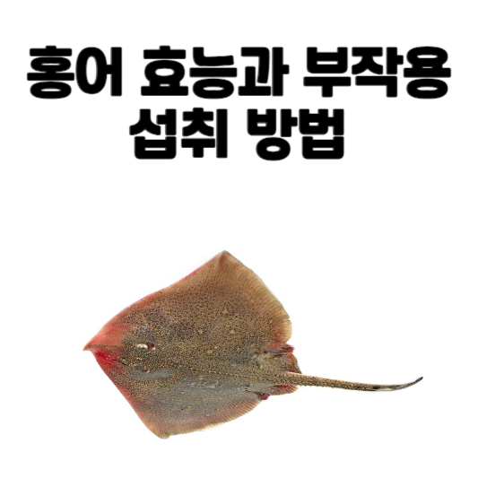 홍어 효능과 부작용 및 섭취 방법