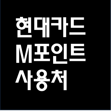  현대 M포인트 사용처 모음