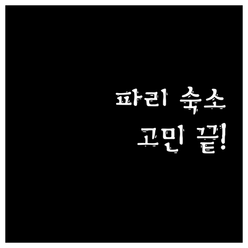 파리 숙소 고민 끝.. 가성비 호텔 