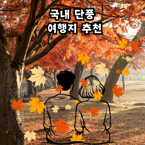 국내 가을 단풍 여행지
