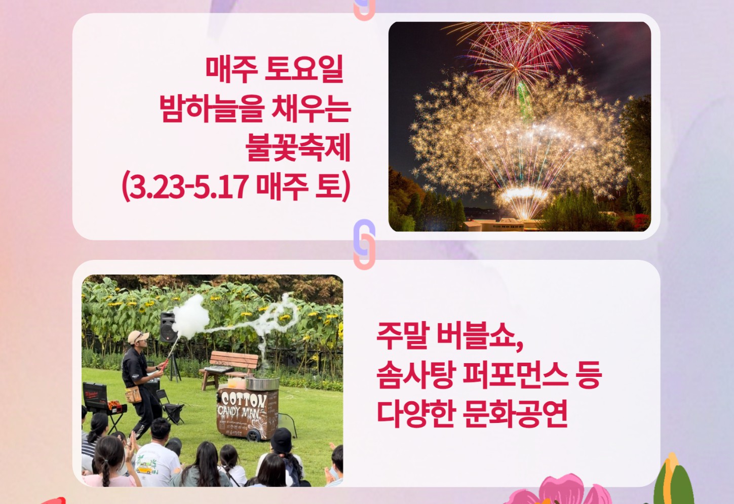 피나클랜드 백만송이 튤립 수선화 봄꽃대향연