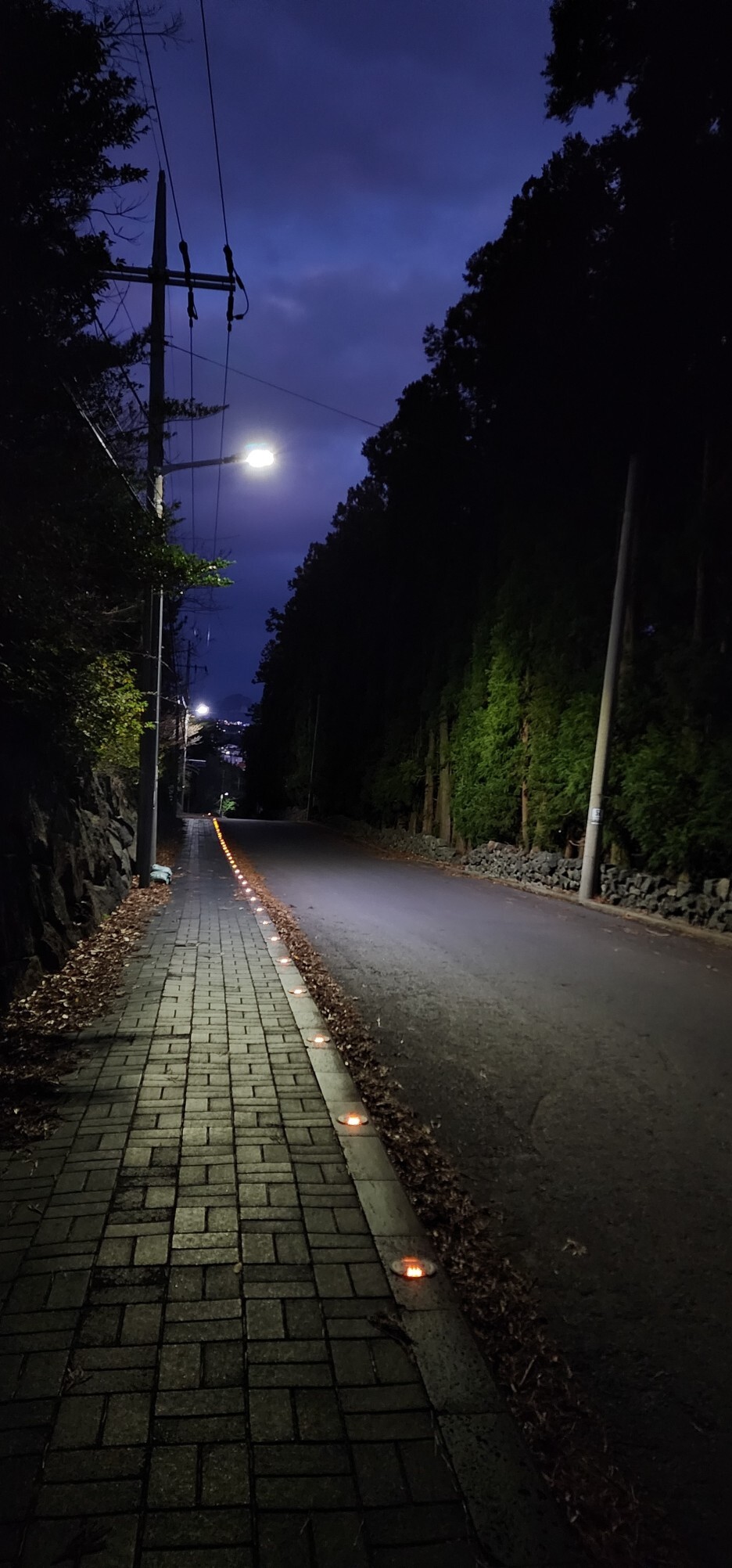 고근산-하산길