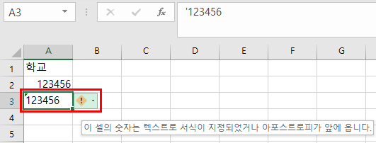 엑셀 문자와 숫자 표시