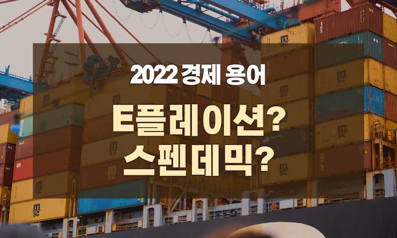  2022년 경제 용어 (ft. e플레이션, 스펜데믹, 스킴플레이션, 선학개미)