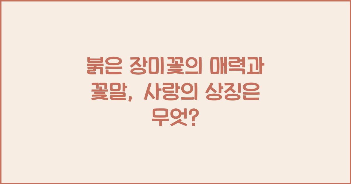 붉은 장미꽃의 매력과 꽃말