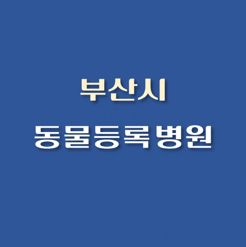 썸네일-부산시-동물등록-대행기관-병원