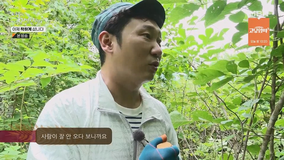 나는 자연인이다.E560.230628p.H264-F1RST.mp4_20230701_182658.903.jpg