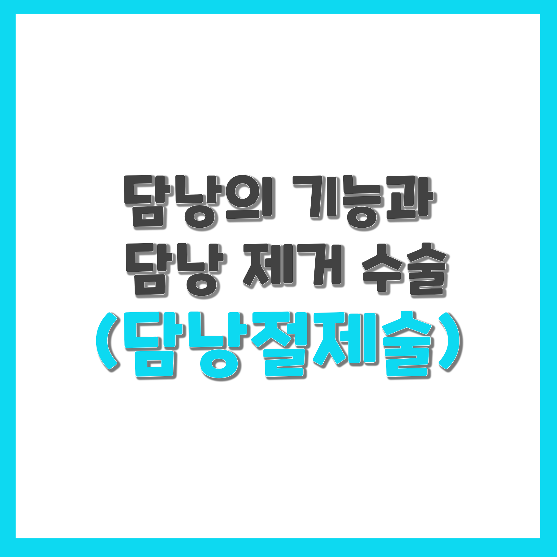  담낭의 기능과 담낭 제거 수술(담낭절제술)